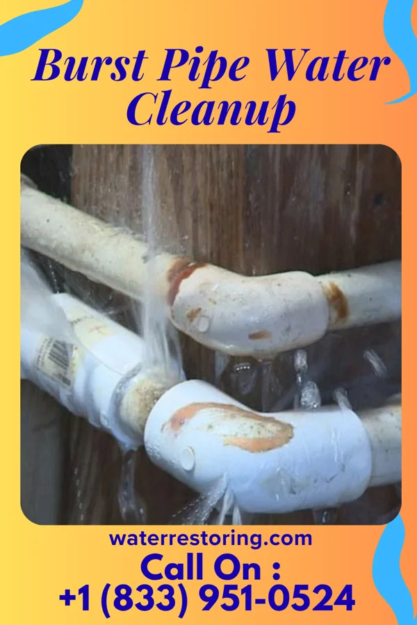 Burst Pipe Water Cleanup in Haverford College, PA