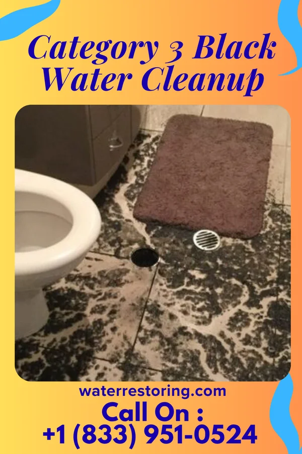 Category 3 Black Water Cleanup in Haverford College, PA