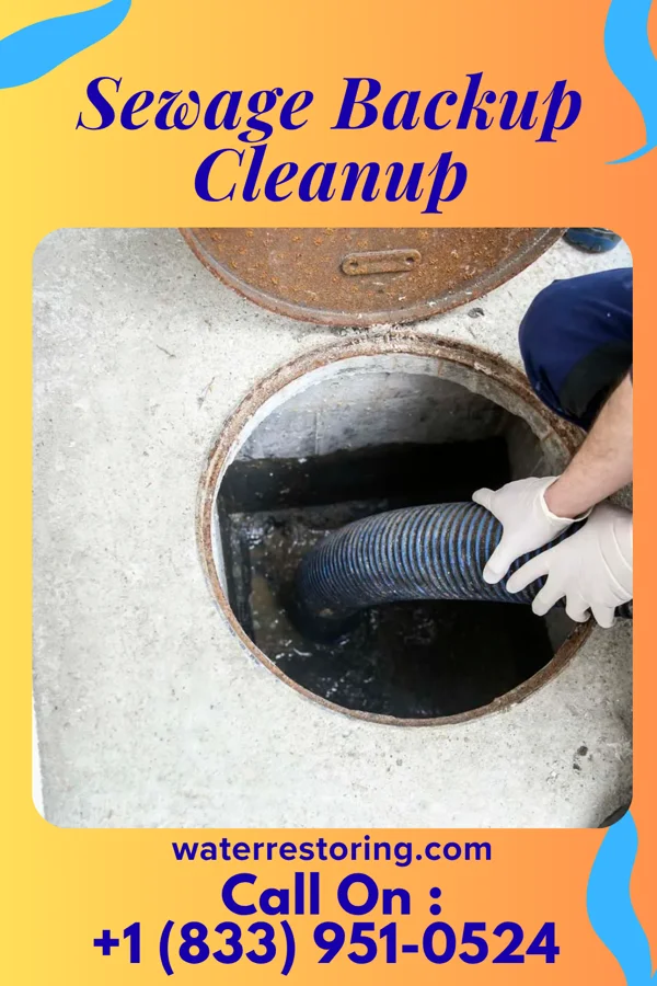 Sewage Backup Cleanup in Haverford College, PA