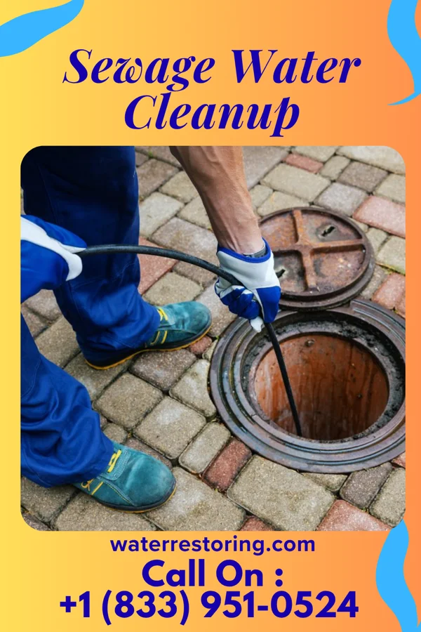 Sewage Water Cleanup in Haverford College, PA